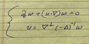 Vorticity formulation of Euler equations