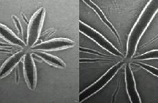 physical modeling logo